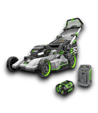 53639 21" Self Propelled Battery Powered Lawn Mower
