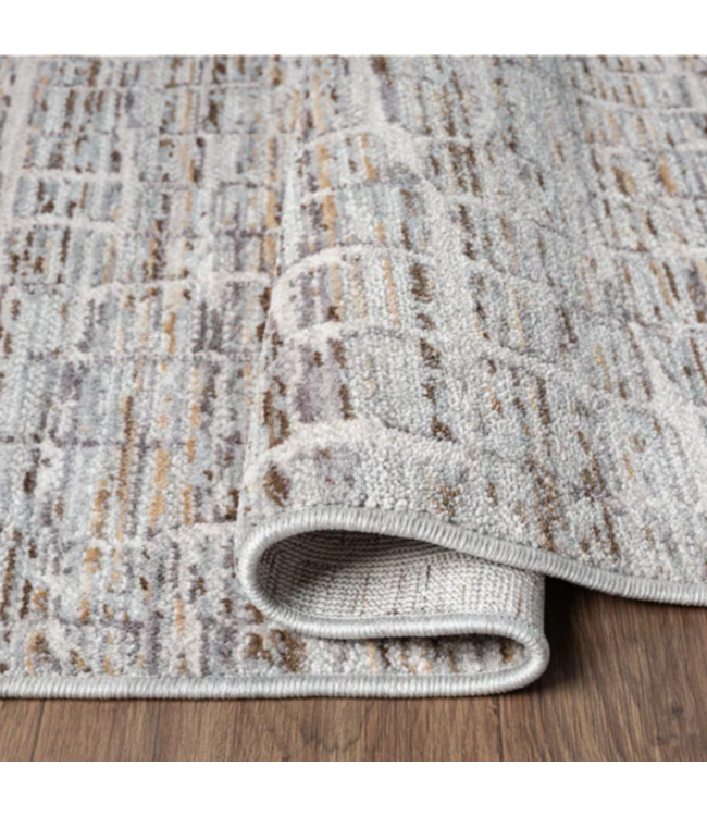 53664 Damaris 8' X 10' Multi Rectangular Indoor Area Rug
