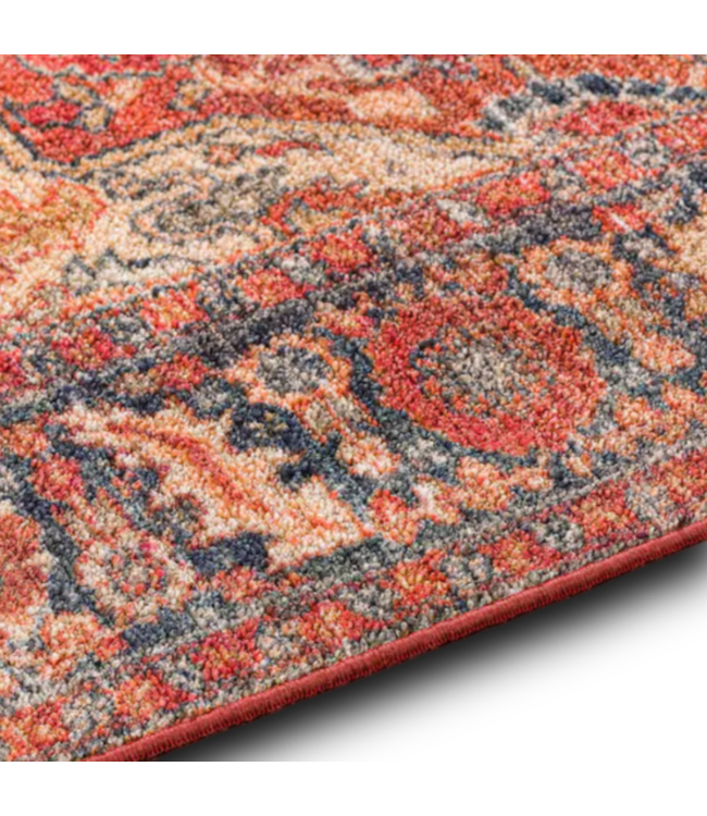 53689 Terra Medallion Area Rug 8' x 10"
