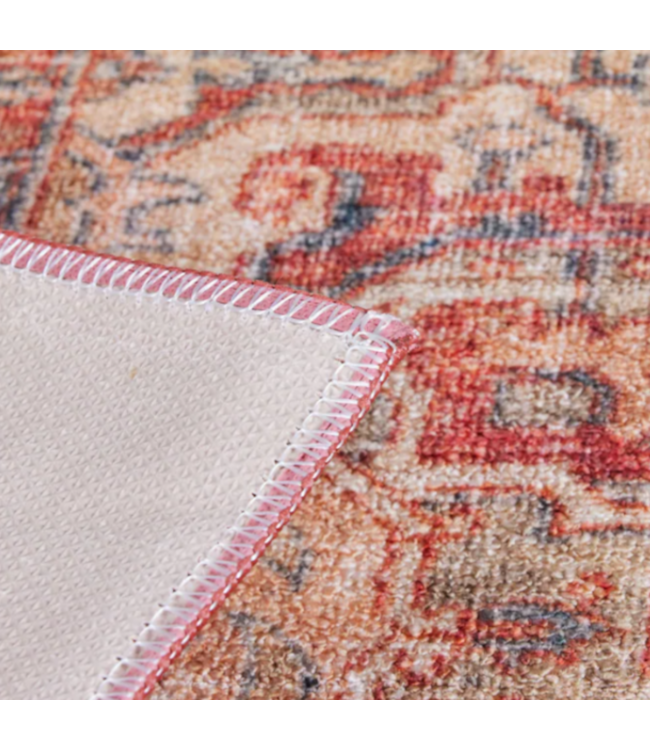 53695 Terra Medallion Area Rug 5' x 8'