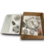 53758 52" Fresh White 5- Blade Ceiling Fan with Light