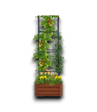 53791 Raised Garden Bed With Tomato Cage Open Bottom