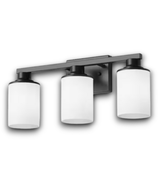 54045 Black 3-Light Vanity Light