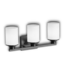 54045 Black 3-Light Vanity Light