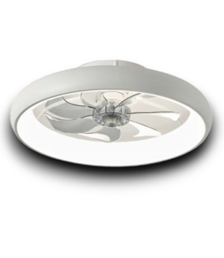 54107 Flush Mount Ceiling Fan With Led Light And Remote