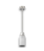 54119 League 1- Light Brushed Nickel  Farmhouse Etched Glass Cylinder Small Hanging Pendant Light