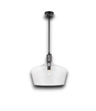 54218 Black 1-light Glass Dome Pendant Light