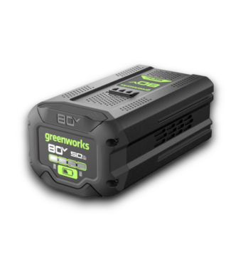 54236 80v 5ah Battery