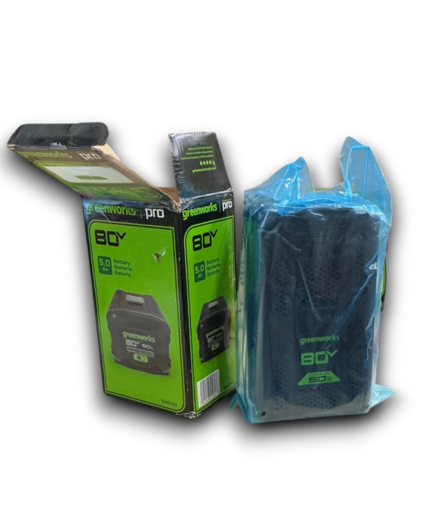 54235 80v 4ah Battery