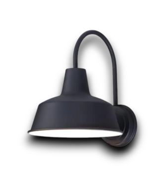 54279 Matte Black Dark Sky Outdoor Light