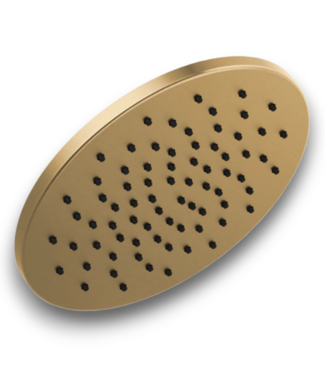 54354 Champagne Bronze Shower Head 12”