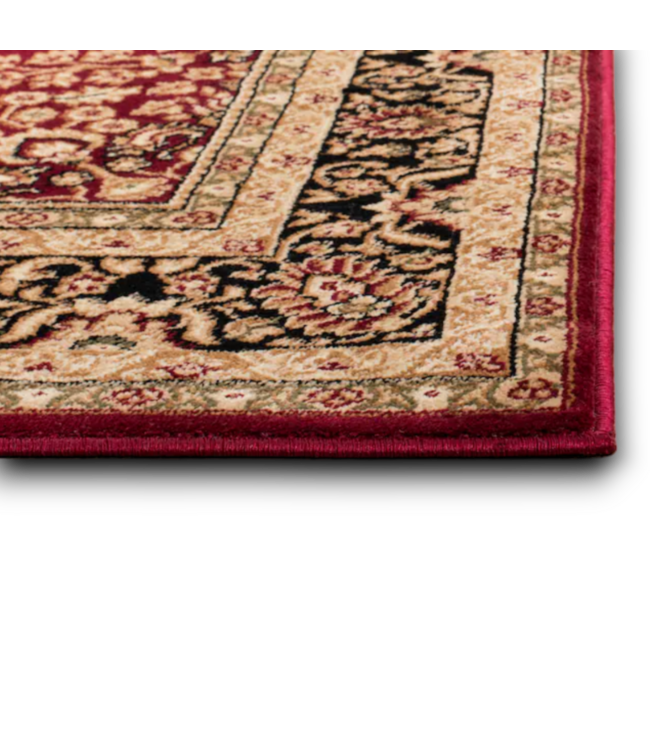 54529 Lyndhurst Isphahan Floral/oriental Area Rug 9 X 12