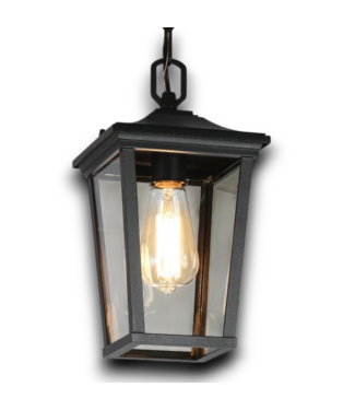 54623 Melanthius 1-light Clear Glass Mini Outdoor Pendant Light