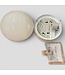 49810 Crisp White Fitter 1-Light Flush Mount Light
