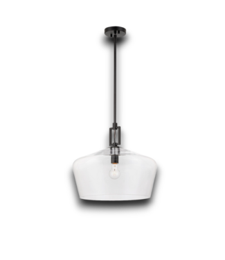 54218 Black 1-light Glass Dome Pendant Light