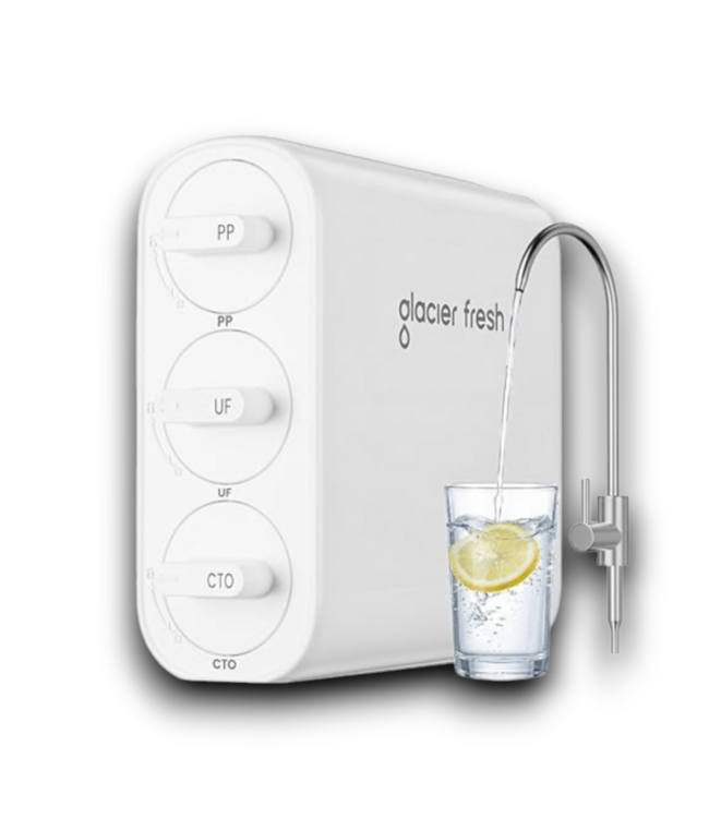 54511 Tankless Ultra Filtration Water Filter