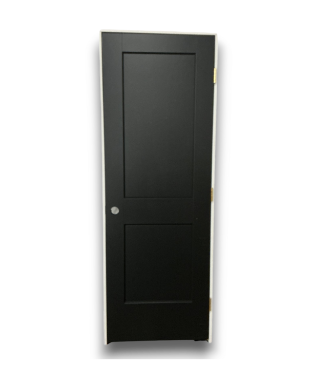54559 28 X 80 Black Prehung 2 Panel Design
