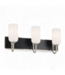 49558 Brushed Nickel 3 -light Vanity Light 24"w