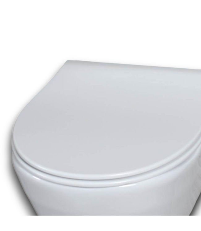 54301 White Toilet Seat