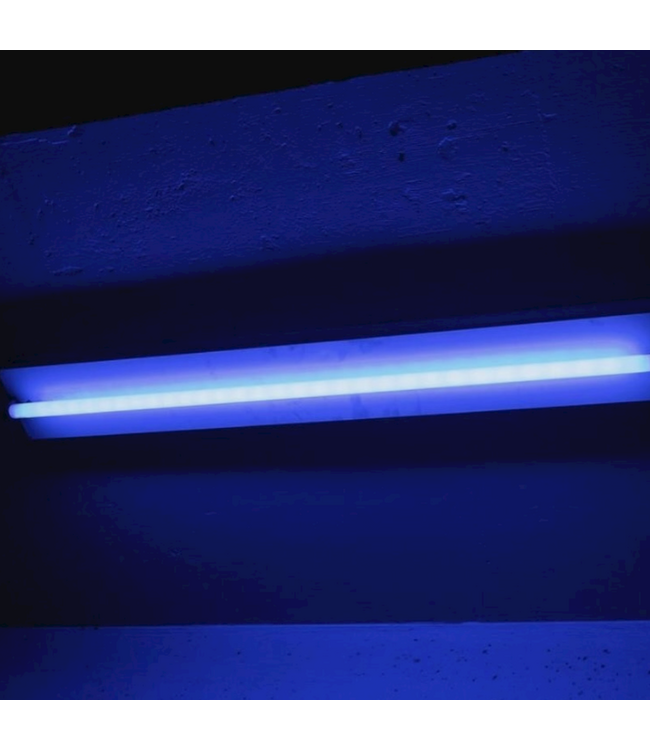48615 Patriot Lighting Black Light 22"