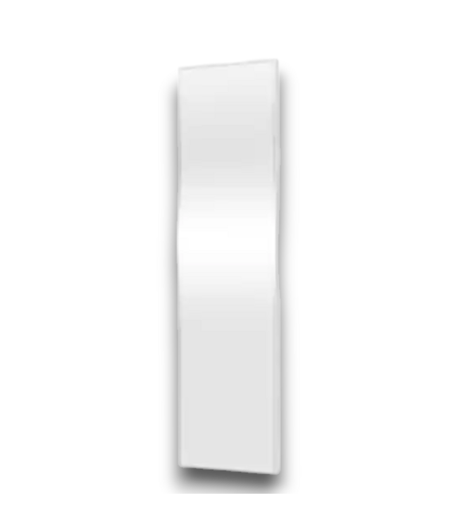 54394 Frameless Full Length Wall Mirror 18" X 68"