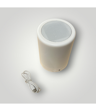 52352 LED Night Light/Speaker