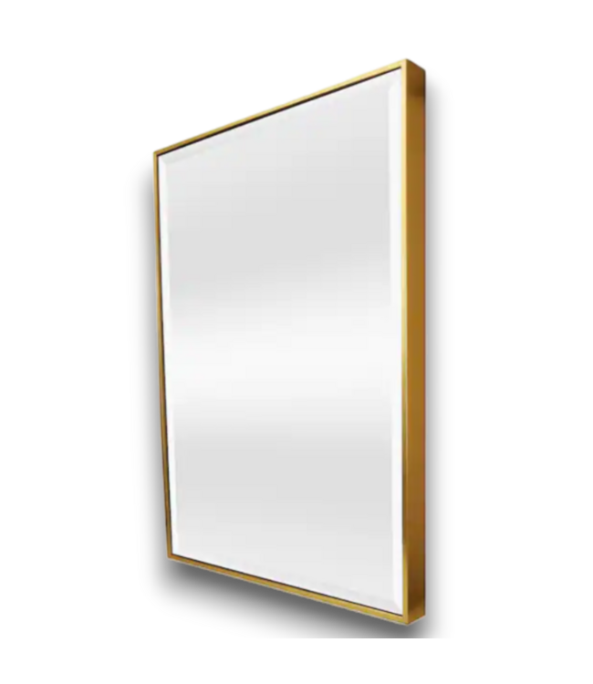 54381 22"w X 28"h Rectangle Gold Framed Wall Mirror