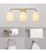 54213 3 Lights Bathroom Vanity Light With Hardware Set