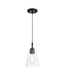 44267 Edvivi Black Mini Pendant Light