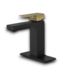 54241 Black And Gold Single Hole Bathroom Faucet