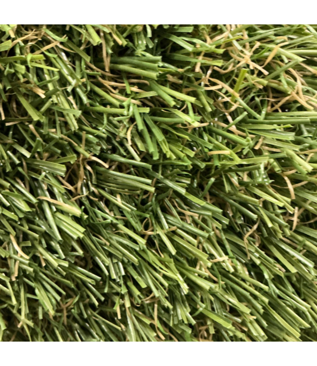 54786 Artificial Grass Roll 7' X 11'