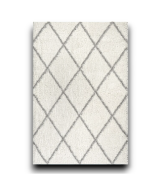 Bud's Warehouse 54855 Shanna Polypropylene White Rectangle Indoor Geometric Area Rug 9 X 12