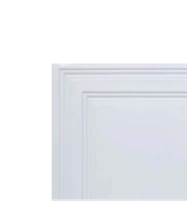 Bud's Warehouse 54882 Economy White Pvc Drop Ceiling Tile 50 Pack 400 Sq. Ft.