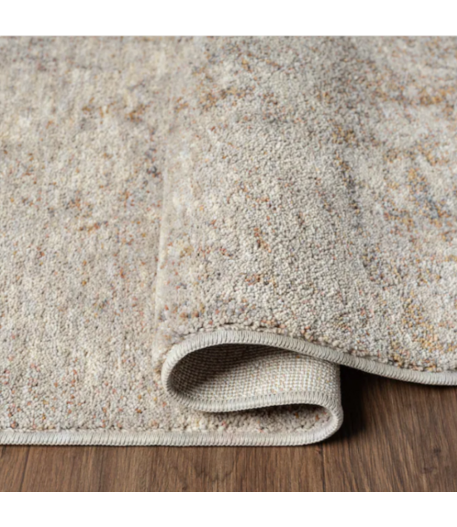 Bud's Warehouse 54907 8 X 10 Beige Shimmer Area Pet Friendly Rug