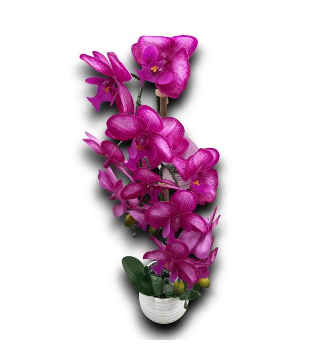 Bud's Warehouse 55156 Fuchsia Pink Orchid Desktop Artificial Flower