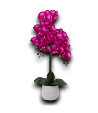 Bud's Warehouse 55156 Fuchsia Pink Orchid Desktop Artificial Flower