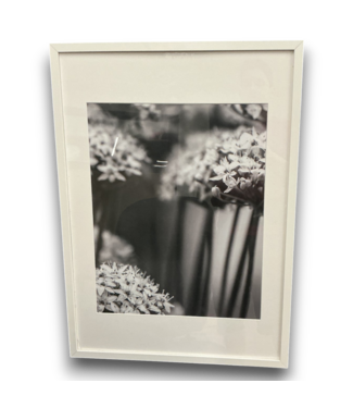 Bud's Warehouse 55231 21 X 29 Framed Black & White Floral Wall Art