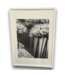 Bud's Warehouse 55231 21 X 29 Framed Black & White Floral Wall Art