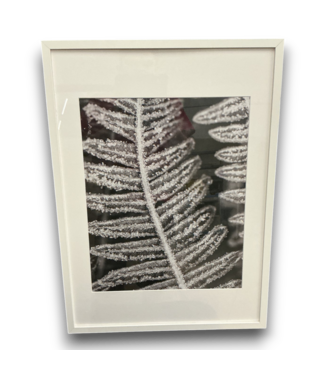 Bud's Warehouse 55230 Frost Fern Wall Art  White Frame 21 X 29
