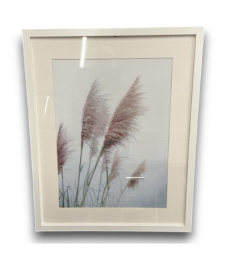 Bud's Warehouse 55232 Frames Pampas Grass Wall Art 21 X 17