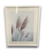 55232 Frames Pampas Grass Wall Art 21 X 17