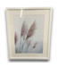 Bud's Warehouse 55232 Frames Pampas Grass Wall Art 21 X 17