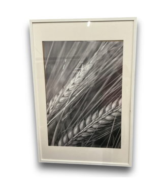 Bud's Warehouse 55242 25 X 37 White Frame Wall Art- Grain