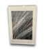55242 25 X 37 White Frame Wall Art- Grain