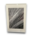Bud's Warehouse 55242 25 X 37 White Frame Wall Art- Grain