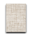55410 5 X 8 Beige Desert Chest Board Area Rug