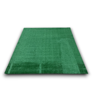 Bud's Warehouse 55485 Meadow Green Artificial Grass Roll 5' X 7'