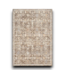 55520 Brown Indoor Area Rug 5' X 8'