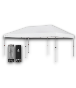 Bud's Warehouse 55634 White Canopy & Wheel Bag 10' X 20'