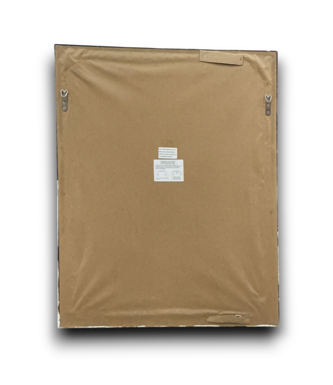55688 Champagne & Dark Brown Framed Mirror